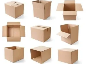 Sản phẩm a1 300x225 — Bao Bì Carton VTG - Công Ty TNHH Đầu Tư Và Xây Dựng VTG — MST 0109249041