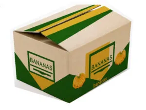 Sản phẩm thung carton dung nong san xuat khau 300x225 — Bao Bì Carton VTG - Công Ty TNHH Đầu Tư Và Xây Dựng VTG — MST 0109249041
