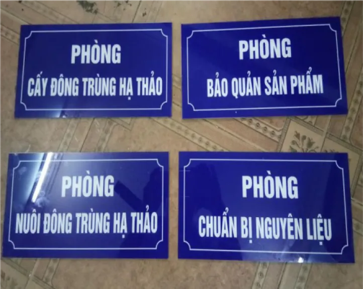 Sản phẩm 69adb09ab6cd9743972eb3ad657e344a — Quảng Cáo Trường Anh - Công Ty TNHH TM Và DV Quảng Cáo Trường Anh — MST 0109262074