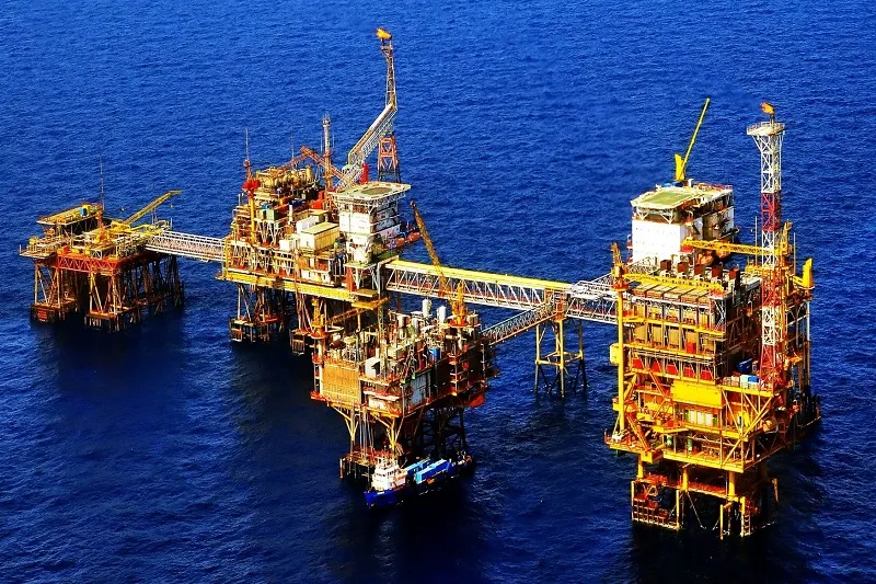 Sản phẩm dau mo — Công Ty TNHH Kỹ Thuật Và Thương Mại Niran — MST 0109280813