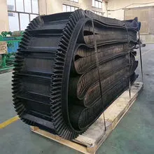 Sản phẩm A belt conveyor — Công Ty Cổ Phần Công Nghiệp Thanh Tân — MST 0109310112