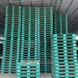 Sản phẩm z3698819622115_176377aff63cd05b6203984acdedf76a 300x300 — Chi Nhánh - Công Ty TNHH Đầu Tư & Sản Xuất HVG — MST 0109347056