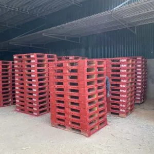 Sản phẩm z3698819651019_ad3410c0860d4fc3600fa0f771f12b3d 300x300 — Chi Nhánh - Công Ty TNHH Đầu Tư & Sản Xuất HVG — MST 0109347056
