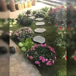 Sản phẩm da buoc dao thot_0 250x250 — Thiết Kế Tiểu Cảnh Hồ Koi - Công Ty Cổ Phần Hoàng Thạch Văn Phú — MST 0109366330