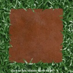 Sản phẩm gach co mikado dep 250x250 — Thiết Kế Tiểu Cảnh Hồ Koi - Công Ty Cổ Phần Hoàng Thạch Văn Phú — MST 0109366330
