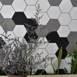 Sản phẩm gach mosaic luc giac_1 250x250 — Thiết Kế Tiểu Cảnh Hồ Koi - Công Ty Cổ Phần Hoàng Thạch Văn Phú — MST 0109366330