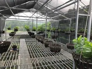 Sản phẩm luoi che lan 2 300x225 — Công Ty TNHH Xây Dựng Kỹ Thuật Thương Mại An Giang — MST 0109367260