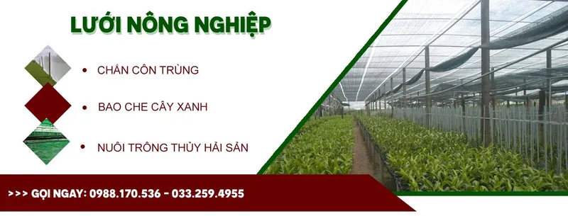 Sản phẩm z1961633734959_2bc625b5674773cc0a95a80d9d0a7096 — Công Ty TNHH Xây Dựng Kỹ Thuật Thương Mại An Giang — MST 0109367260