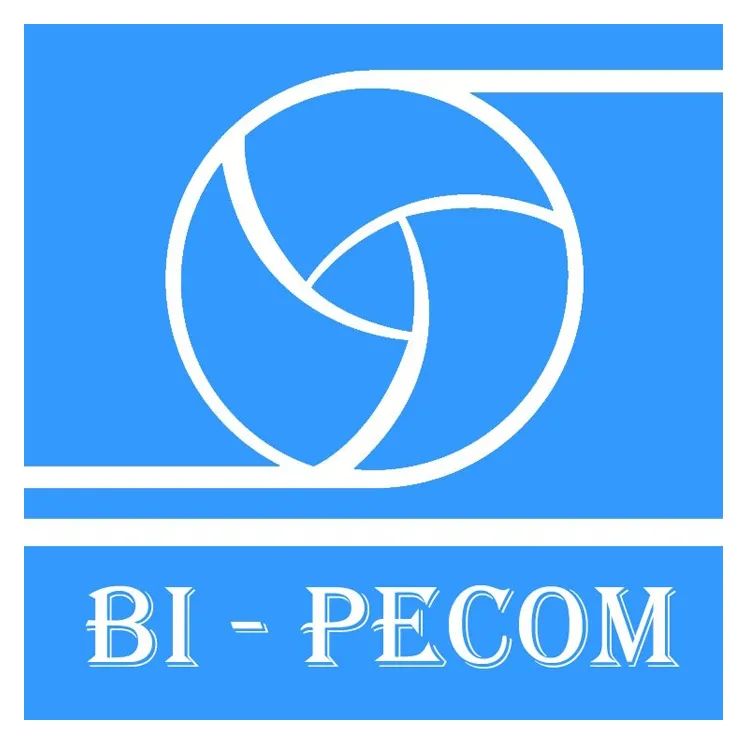 Logo Công Ty CP Vòng Bi PECOM