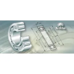 Sản phẩm vong_bi_dua_tru1 — Công Ty CP Vòng Bi PECOM — MST 0109379428
