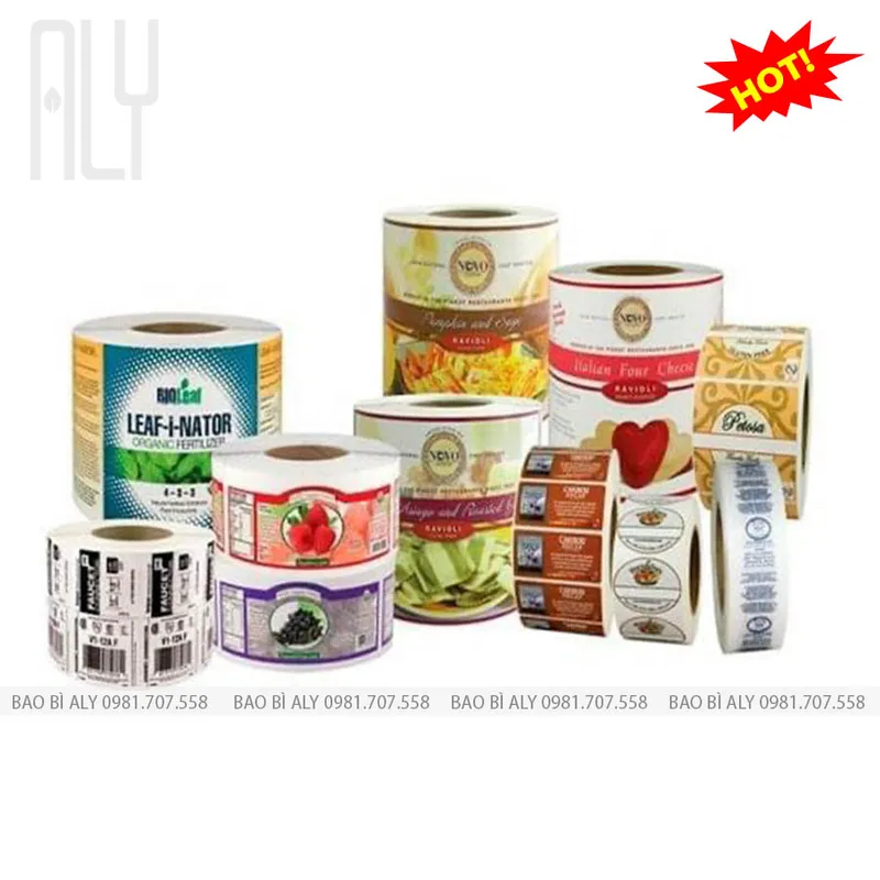 Sản phẩm 18.BBDGTD mang thach xe cuon — Bao Bì ALY - Công Ty TNHH Bao Bì ALY — MST 0109404480