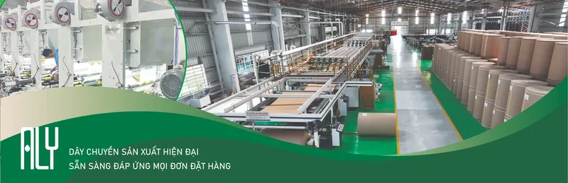 Sản phẩm bao bì aly 1 — Bao Bì ALY - Công Ty TNHH Bao Bì ALY — MST 0109404480