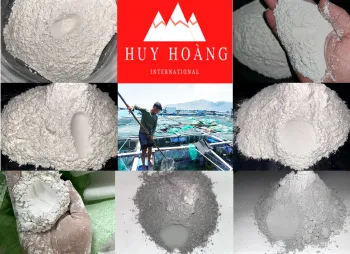 Logo Bột Đá Huy Hoàng - Công Ty CP Phát Triển Quốc Tế Huy Hoàng