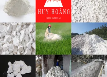 Sản phẩm Picture1 3 350x254 — Bột Đá Huy Hoàng - Công Ty CP Phát Triển Quốc Tế Huy Hoàng — MST 0109434781