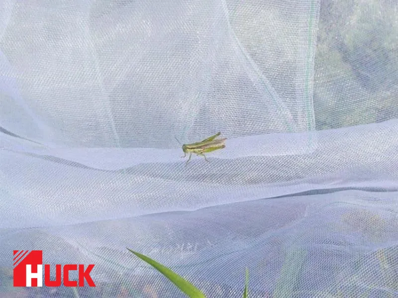 Sản phẩm luoi chan con trung 2 — Công Ty TNHH Huck — MST 0109503481