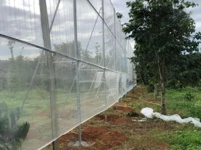 Sản phẩm luoi chan gio vuon sau rieng — Công Ty TNHH Lưới Mạnh Phát — MST 0109564597