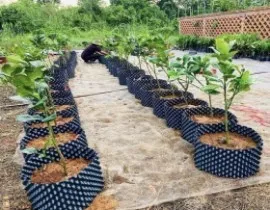 Sản phẩm thu vien anh_270x210 1 0a9d35708f72b95853a4daea225e07e3 — Công Ty TNHH Lưới Mạnh Phát — MST 0109564597