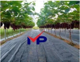Sản phẩm thu vien anh_270x210 1 2b137d67d92ccee91ba65339b52a7e07 — Công Ty TNHH Lưới Mạnh Phát — MST 0109564597