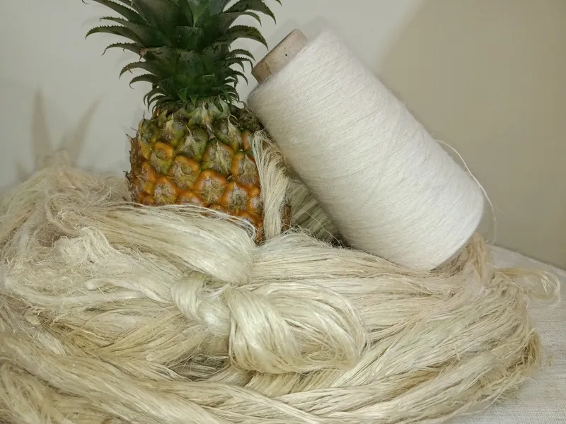 Sản phẩm 0 — Ecosoi - Công Ty Cổ Phần Nghiên Cứu Sản Xuất Và Phát Triển Sợi Eco — MST 0109572848