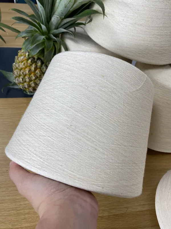 Sản phẩm c8765e2027f09caec5e13 — Ecosoi - Công Ty Cổ Phần Nghiên Cứu Sản Xuất Và Phát Triển Sợi Eco — MST 0109572848