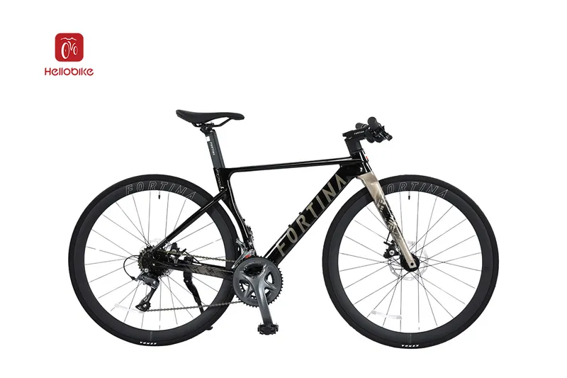 Sản phẩm xe dap fortina ft7012 ava — Công Ty TNHH Hello Bike Việt Nam — MST 0109601714