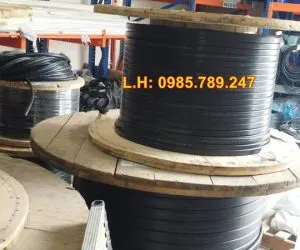 Sản phẩm Cap det shentai 300x250 — Cầu Trục HNC - Công Ty CP Cầu Trục HNC — MST 0109604962