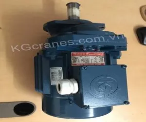Sản phẩm dong co cau truc 300x250 — Cầu Trục HNC - Công Ty CP Cầu Trục HNC — MST 0109604962