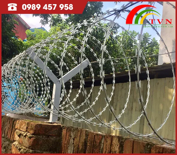 Sản phẩm day thep gai luoi dao bung nhung — Lưới Thép Trần Vũ Nguyên - Công Ty TNHH Sản Xuất Và Kinh Doanh Trần Vũ Nguyên — MST 0109609720