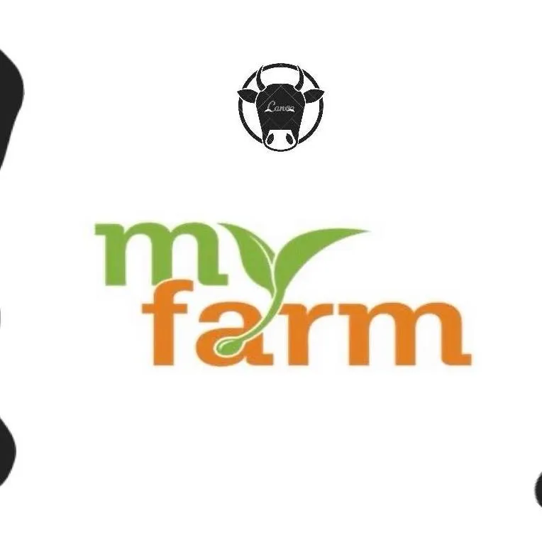 Sản phẩm z5912356801540_e3ab23aaf4d19760c314c782bdd37d4e — Công Ty TNHH Dịch Vụ Tư Vấn Thuế Bách Khoa — MST 0109636308