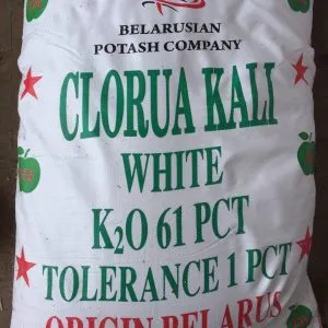 Sản phẩm Kali trắng Belarus 300x300 — Hóa Chất An Phú Cường - Công Ty TNHH Hóa Chất Và Môi Trường An Phú Cường — MST 0109659947