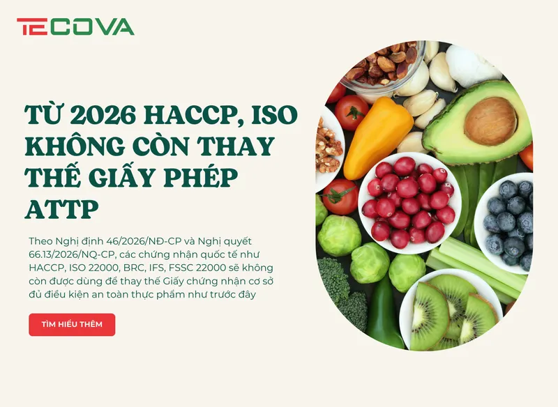 Sản phẩm web scaled — Công Ty Cổ Phần Công Nghệ Tecova — MST 0109664672