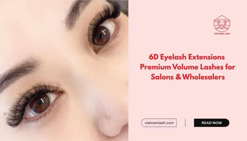 Sản phẩm 6D Eyelash Extensions 1024x585 — Công Ty TNHH Xuất Nhập Khẩu Vietnam Lash — MST 0109718286
