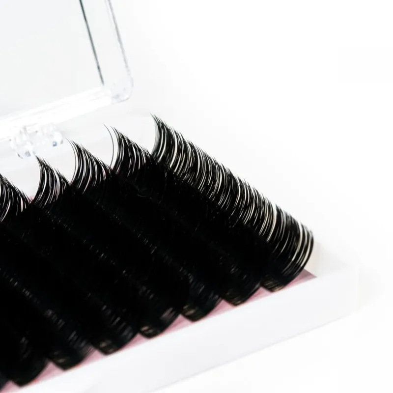 Sản phẩm Black classic lash trays volume lash trays 16 lines 2 900x900 — Công Ty TNHH Xuất Nhập Khẩu Vietnam Lash — MST 0109718286