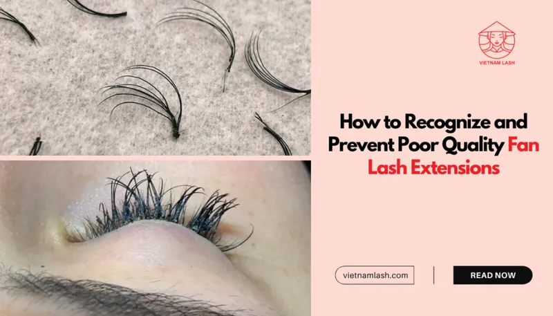 Sản phẩm how to recognize and prevent poor quality fan lash extensions 1024x585 — Công Ty TNHH Xuất Nhập Khẩu Vietnam Lash — MST 0109718286