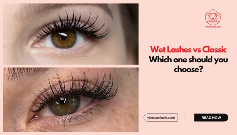Sản phẩm wet lashes vs classic which one should you choose 1024x585 — Công Ty TNHH Xuất Nhập Khẩu Vietnam Lash — MST 0109718286