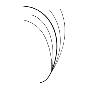 Sản phẩm Wispy Katun — Công Ty TNHH Xuất Nhập Khẩu Vietnam Lash — MST 0109718286