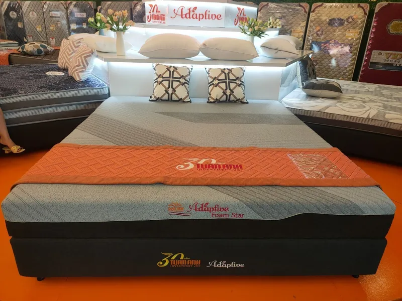 Sản phẩm adaptive foam star — Chăn Ga Gối Đệm Yên Mộng - Công Ty TNHH Thương Mại Yên Mộng — MST 0109740309
