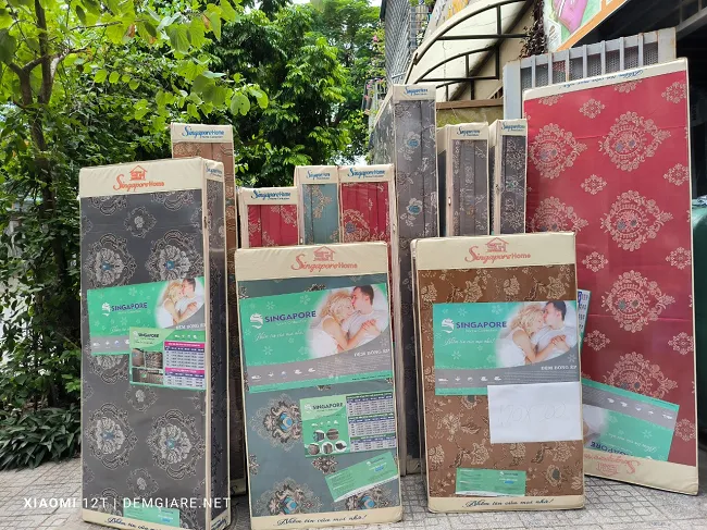 Sản phẩm dem singapore gam 650 — Chăn Ga Gối Đệm Yên Mộng - Công Ty TNHH Thương Mại Yên Mộng — MST 0109740309