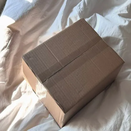 Sản phẩm Hop carton 10x10x10cm nap doi 3 lop song B mat nau day moc Hupuna.com_ — Băng Dính Hupuna Group - Công Ty Cổ Phần Hupuna Group — MST 0109746861