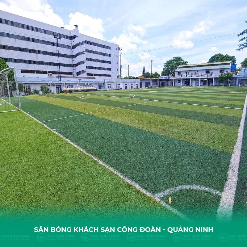 Sản phẩm da san bong ks congdoan quangninh — Công Ty TNHH Thái Sơn Long — MST 0109756027