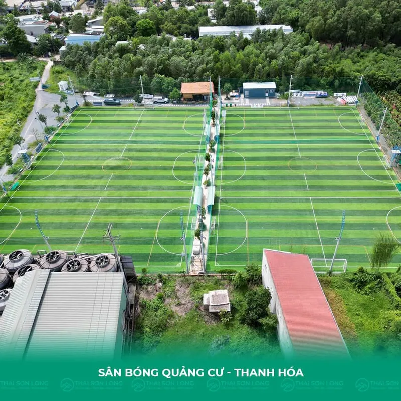 Sản phẩm da san bong quangcu thanhhoa — Công Ty TNHH Thái Sơn Long — MST 0109756027