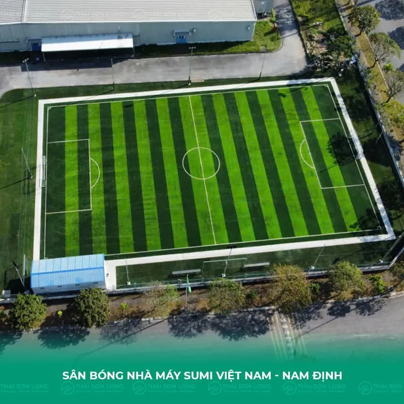 Sản phẩm da san bong sumi nam dinh — Công Ty TNHH Thái Sơn Long — MST 0109756027