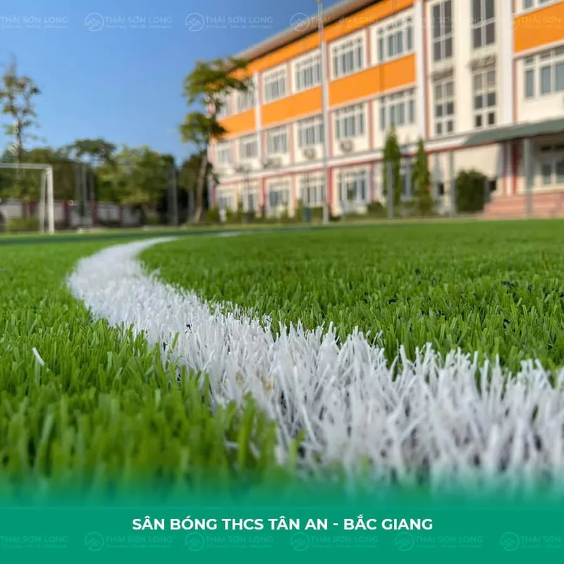 Sản phẩm da san bong tanan bacgiang — Công Ty TNHH Thái Sơn Long — MST 0109756027