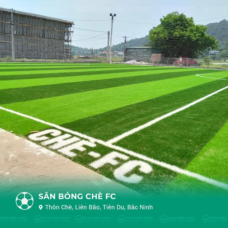 Sản phẩm san bong che fc thumb — Công Ty TNHH Thái Sơn Long — MST 0109756027