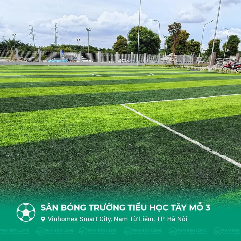 Sản phẩm san bong tay mo 3 hn 09 — Công Ty TNHH Thái Sơn Long — MST 0109756027