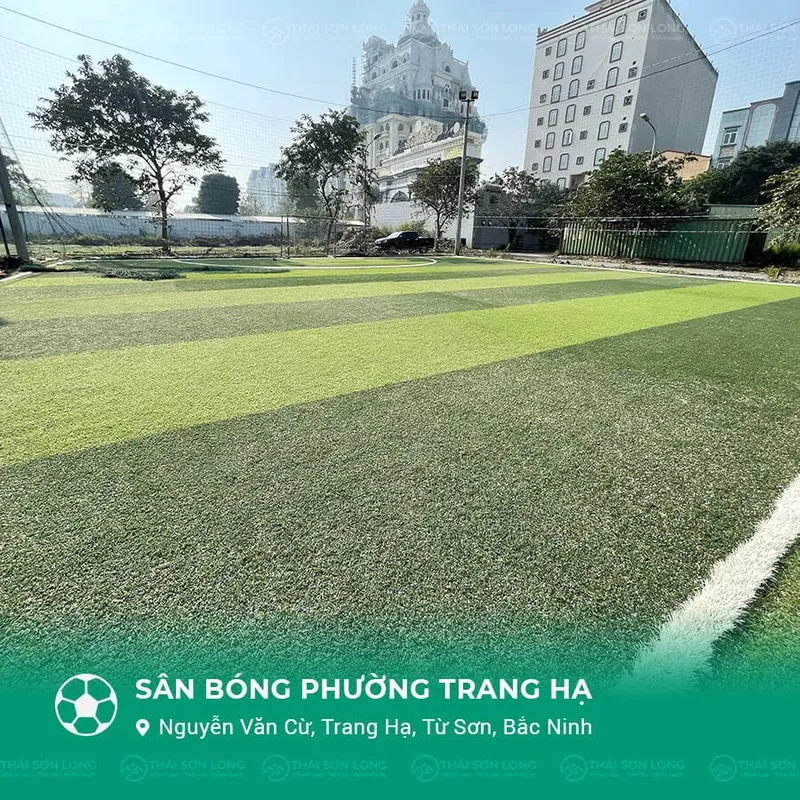 Sản phẩm san bong trang ha thumb — Công Ty TNHH Thái Sơn Long — MST 0109756027