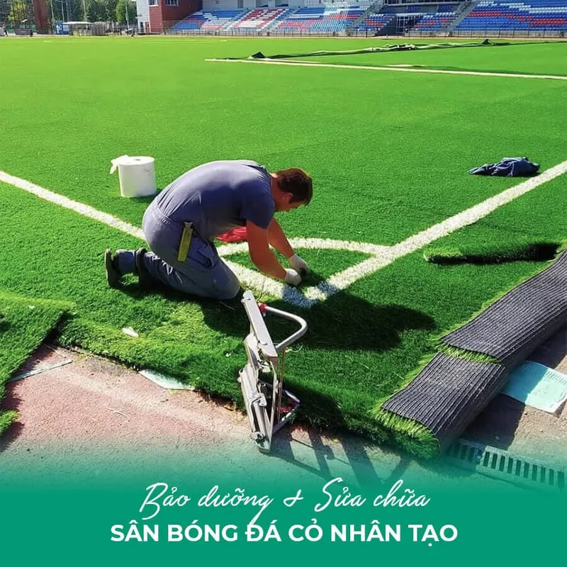 Sản phẩm thumb sbnt bao duong — Công Ty TNHH Thái Sơn Long — MST 0109756027