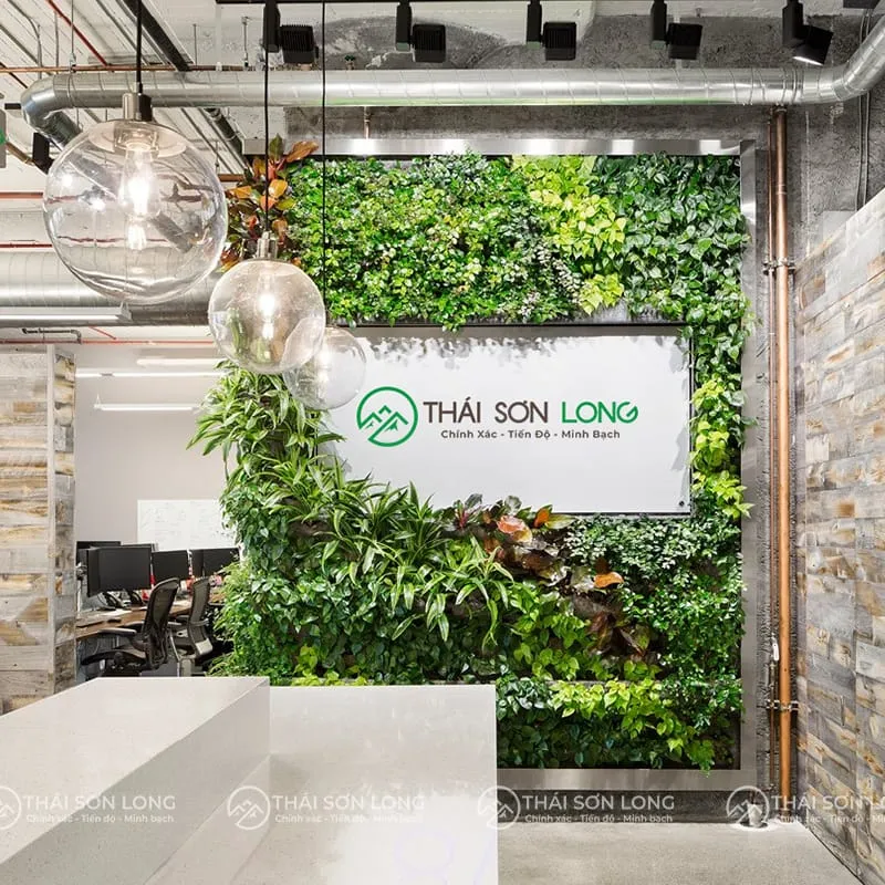 Sản phẩm trang tri dan tuong co nhan tao cho van phong toa nha thumnail — Công Ty TNHH Thái Sơn Long — MST 0109756027