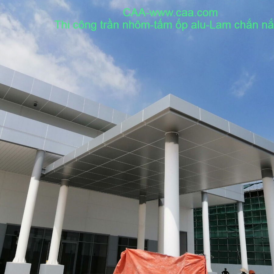 Sản phẩm mai sanh 2.jpg 900x900 — Công Ty TNHH CAA Việt Nam — MST 0109778119