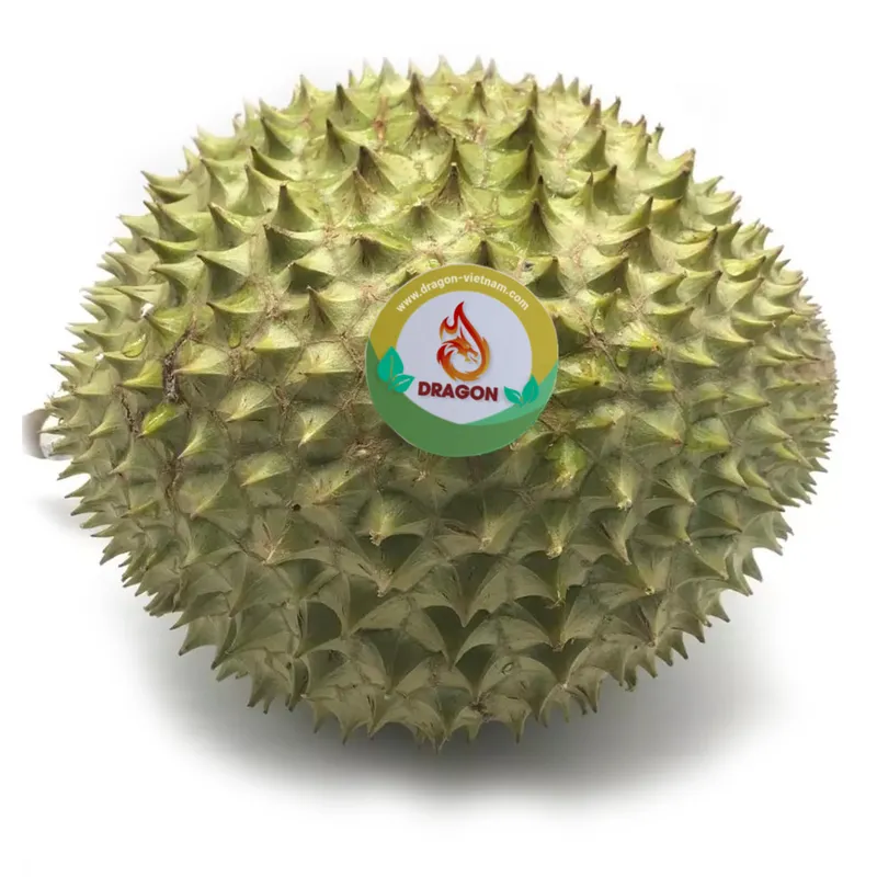 Sản phẩm 123ssaa — Công Ty TNHH Đầu Tư Phát Triển Dragon Việt Nam — MST 0109790885